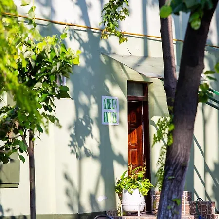 Green House-3